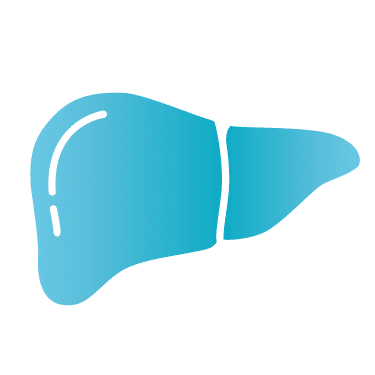 liver diseases icon